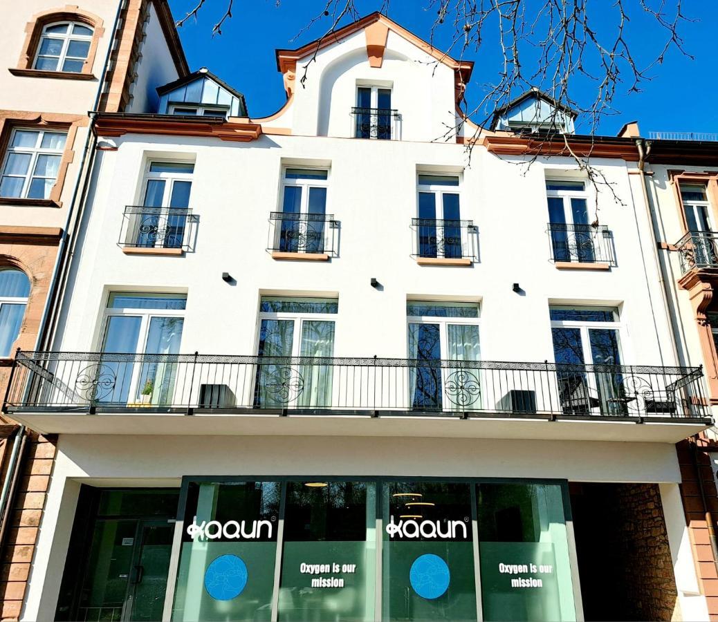 Stadtpalais Am Schoental アシャッフェンブルク エクステリア 写真